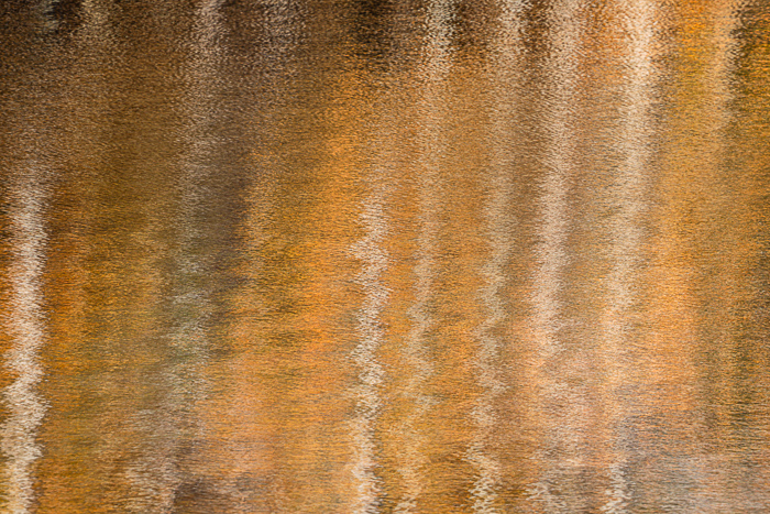 Abstract;Abstraction;Autumn;Blue;Branches;Brown;Calm;Concepts;Cool Colors;Cool Palette;Cool Tones;Fall;Fall Creek Falls State Resort Park;Forest;Forested;Gold;Green;Greens;Healing;Health care;Healthcare;Leaf;Leaves;Line;Minimalism;Mirror;Modern;Nature;Oneness;Pastoral;Personal;Pool;Ripple;Shape;State Park;Sunlight;Tan;Tennessee;Timber;Timberland;Tree;United States;Water;Waterscape;Wood;Woodland;Woods;Yellow;biophilic design;biophilic interior design;color;contemporary;contemporary art;foliage;lake;leaves;limbs;modern art;pattern;peaceful;plants;reflection;reflections;restful;serene;soothing;sunlit;texture;tranquil;tree;tree limbs;trees;trunk;zen